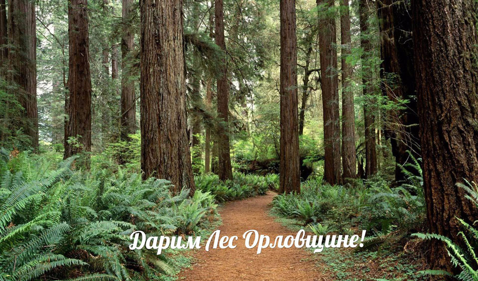 Кто сказал что орел городишко. Смотреть фото Кто сказал что орел городишко. Смотреть картинку Кто сказал что орел городишко. Картинка про Кто сказал что орел городишко. Фото Кто сказал что орел городишко