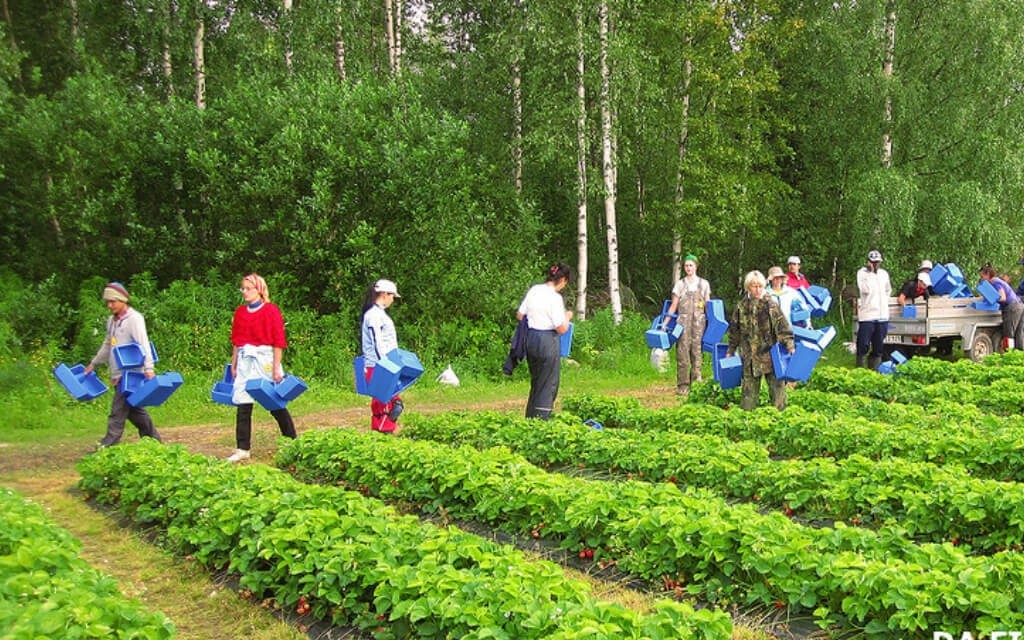 Сезонная работа картинки