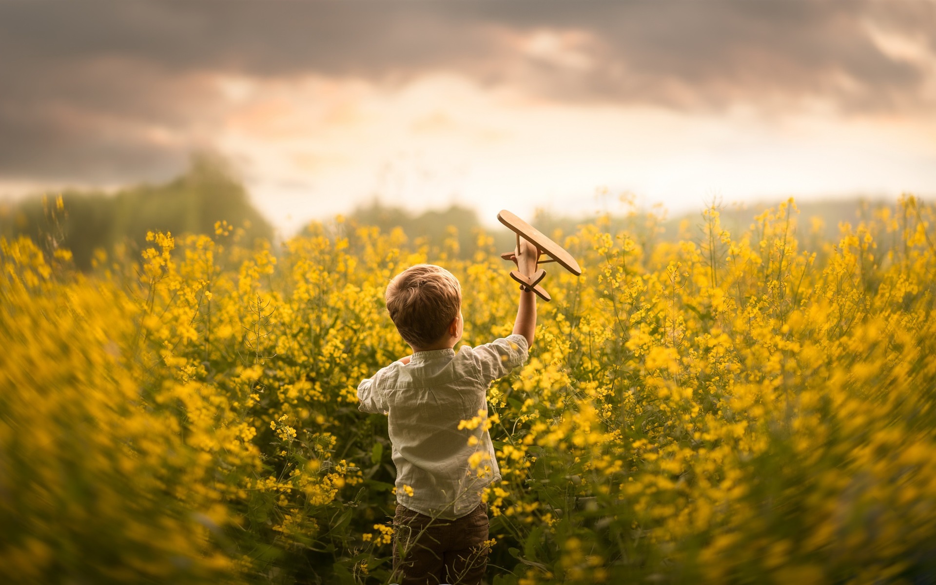 Child-little-boy-play-toy-plane-in-the-rapeseed-flowers-field_1920x1200